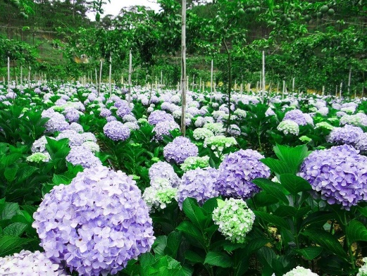 image008